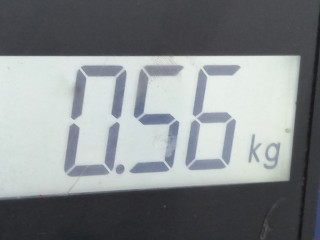 Амортизатор крышки багажника (3-5 двери), ориг. номер 689600W431, 2601WL, Toyota Prius 2005-2011
