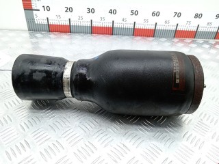 Пневмостойка задняя, ориг. номер 37121095579, BMW X5 E53 1999-2003