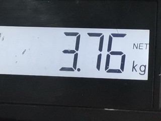 Вакуумный усилитель тормозов, ориг. номер 6R2614106G, 6R2614105L, Skoda Rapid 2012-2017