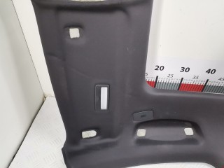 Потолок, ориг. номер 51447903796, 7903796, BMW 7 F01/F02 2008-2012