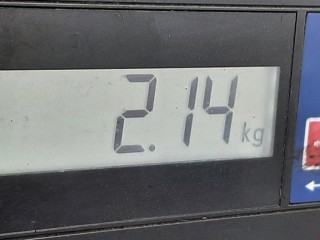 Суппорт задний левый, ориг. номер 8E0615423, Volkswagen Passat 1996-2001