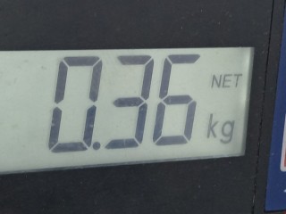 Переключатель подрулевой (стрекоза), ориг. номер 8L0953513G, 4B0953503H, Volkswagen Passat 1996-2001