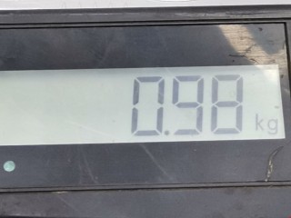 Защита арок передняя левая (подкрылок), ориг. номер 1K0805977A, Volkswagen Golf 1997-2006
