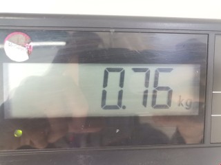 Стеклоподъемник передний правый, ориг. номер 8200800404, 1184673511, Renault Logan 2009-2016