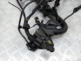 Проводка, ориг. номер 12518514877, 8514877, BMW 5 F10/F11/GT F07 2009-2013
