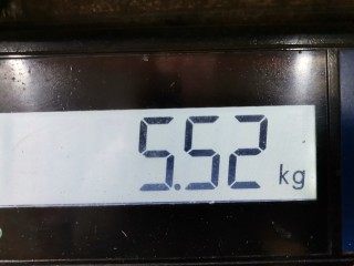 ТНВД, ориг. номер 0445010089, 1313844, Ford Focus 2001-2005