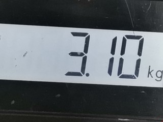 Вакуумный усилитель тормозов, ориг. номер 47210JD00A, 0204051549, Nissan Qashqai 2010-2013
