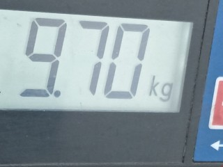 Стойка передняя правая, ориг. номер 4851042190, 4851080285, Toyota RAV4 2005-2008