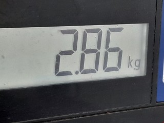 Стартер, ориг. номер 0001120400, 02T911023GX, Volkswagen Polo 2001-2005