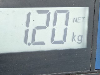 Подушка безопасности водителя, ориг. номер YC1AV043B13ANW, 531915300R, Ford Transit 1995-2003