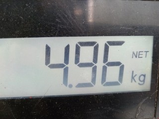 Суппорт передний правый, ориг. номер 90540167, Opel Vectra 1999-2002