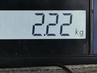 Амортизатор задний правый, ориг. номер 4853009N70, Toyota Auris 2006-2010