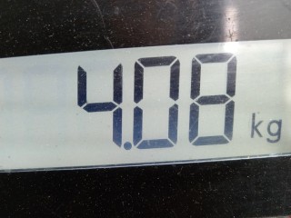 Подлокотник, ориг. номер 8200025861, Renault Laguna 2001-2005