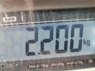 Рулевая колонка, ориг. номер 452500K010, Toyota Hilux 2005-2008