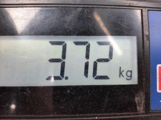 Подшипник ступицы, ориг. номер 13591999, Opel Astra 2006-2014