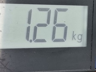 Петля капота правая, ориг. номер 654006104R, 654000004, Renault Scenic 2013-2016