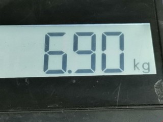 Стойка передняя правая, ориг. номер 6Q0413031BR, Seat Ibiza 2001-2006
