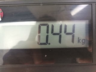 Подсветка номера, ориг. номер 90590985, 90213642, Opel Astra 1994-2002