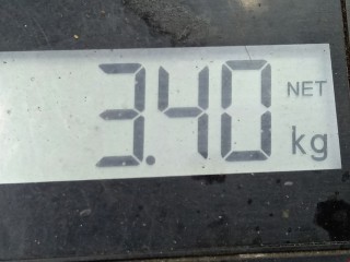 Стабилизатор подвески (поперечной устойчивости), ориг. номер 33556788860, BMW 5 F10/F11/GT F07 2013-2017