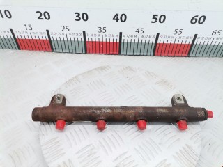 Топливная рампа, ориг. номер A2C20001402, 5WS40256, Land Rover Range Rover Sport 2005-2009