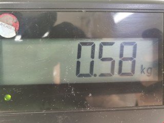 Стеклоподъемник задний левый, ориг. номер 13100421, 13100420, Opel Astra 1998-2009