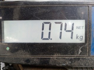 Поддон, ориг. номер 215102B700, Kia Ceed 2012-2015