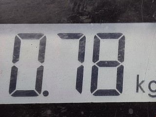 Сигнал (клаксон), ориг. номер YWK500040, Land Rover Range Rover Sport 2005-2009