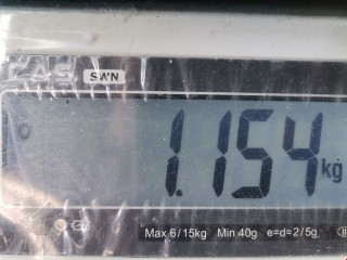 Замок зажигания, ориг. номер 3M513F880AC, Ford C-Max 2003-2007
