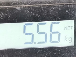 Усилитель бампера заднего, ориг. номер 3C9807558, 3C5807558, Volkswagen Passat CC 2008-2012