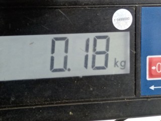 Брызговик, Toyota RAV4 2005-2008