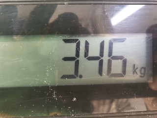 Стекло двери задней левой, ориг. номер 1697798, Ford C-Max 2007-2010