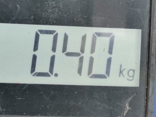 Кронштейн крепления бампера заднего, ориг. номер 9680251880, Peugeot 207 2006-2009