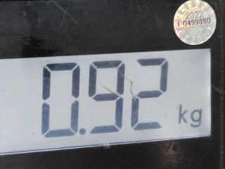 Защита двигателя, ориг. номер 74111SCAE00, 74111SKN001, Honda CR-V 2004-2006