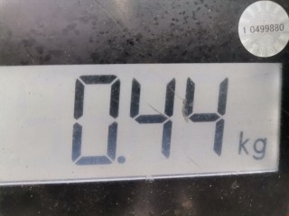 Кронштейн двигателя, ориг. номер 6761091, 22116761091, BMW 6 E63/E64 2003-2007
