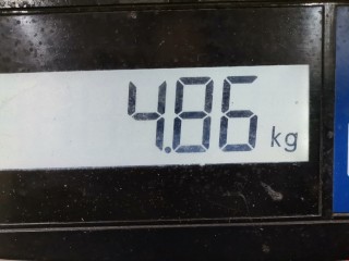Стабилизатор подвески (поперечной устойчивости), ориг. номер 8V515494AC, Ford Fiesta 2008-2013