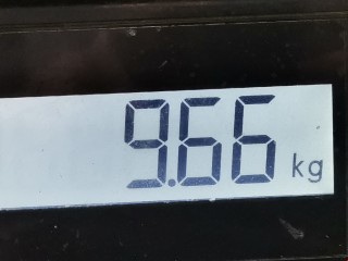 Маховик, ориг. номер 0532K4, 331271694, Peugeot 206 2002-2009