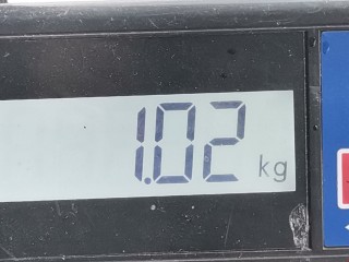 Уплотнитель багажника, ориг. номер 51767110420, BMW 5 E60/E61 2002-2007
