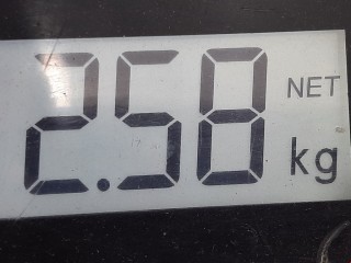 Пружина задняя, ориг. номер 5102P3, Peugeot 207 2006-2009