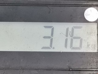 Декоративная крышка двигателя, ориг. номер 030129607AS, 030129607BK, Volkswagen Lupo 1998-2005