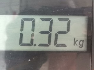 Щеткодержатель задний, ориг. номер 9620967780, 6426AR, Peugeot 106 1996-2003