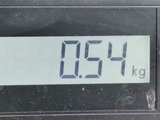 Амортизатор крышки багажника (3-5 двери), ориг. номер 9631441380, 8731E6, Peugeot 206 1998-2003