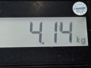 Полуось передняя правая (приводной вал, ШРУС), ориг. номер 1139963, Ford Focus 2001-2005