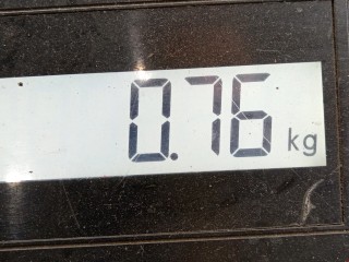 Петля двери передней левой, ориг. номер 41517176859, 8200101886, Kia Carens 2006-2012