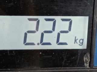 Суппорт задний левый, ориг. номер 7701207693, Renault Megane 2002-2006