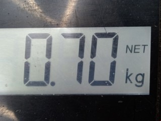 Декоративная крышка двигателя, ориг. номер 330188061, Opel Astra 1998-2009