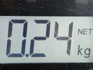Амортизатор капота, ориг. номер 4838QG, 6Q6827550D, Volkswagen Polo 2001-2005