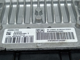 Блок управления двигателем, ориг. номер 9662273580, 5WS40318H, Citroen C5 2004-2008