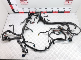 Проводка, ориг. номер 9664716080, Citroen Picasso 2006-2013