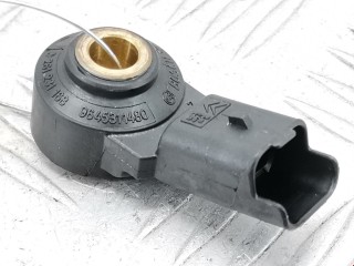 Датчик детонации, ориг. номер 0261231168, 1920FR, Citroen Berlingo 2004-2013