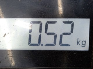 Защита арок передняя правая (подкрылок), ориг. номер 1K0805912, Volkswagen Golf 2003-2009